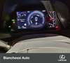 Lexus UX 250h Hybrid Urban Grigio - thumbnail 14