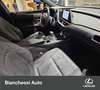 Lexus UX 250h Hybrid Urban Grigio - thumbnail 5