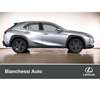 Lexus UX 250h Hybrid Urban Gris - thumbnail 15