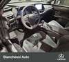 Lexus UX 250h Hybrid Urban Grigio - thumbnail 13