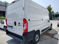 Fiat Ducato 35 2.2 Mjt 140CV PM-TM Furgone Bianco - thumbnail 5