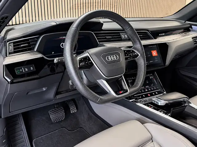 Audi E-Tron view 15