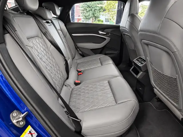 Audi E-Tron view 12