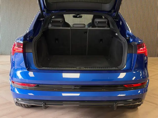 Audi E-Tron view 6
