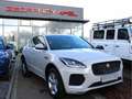 Jaguar E-Pace D 180 AWD R-DYNAMIC PANO CUIR NAVI Grijs - thumbnail 1