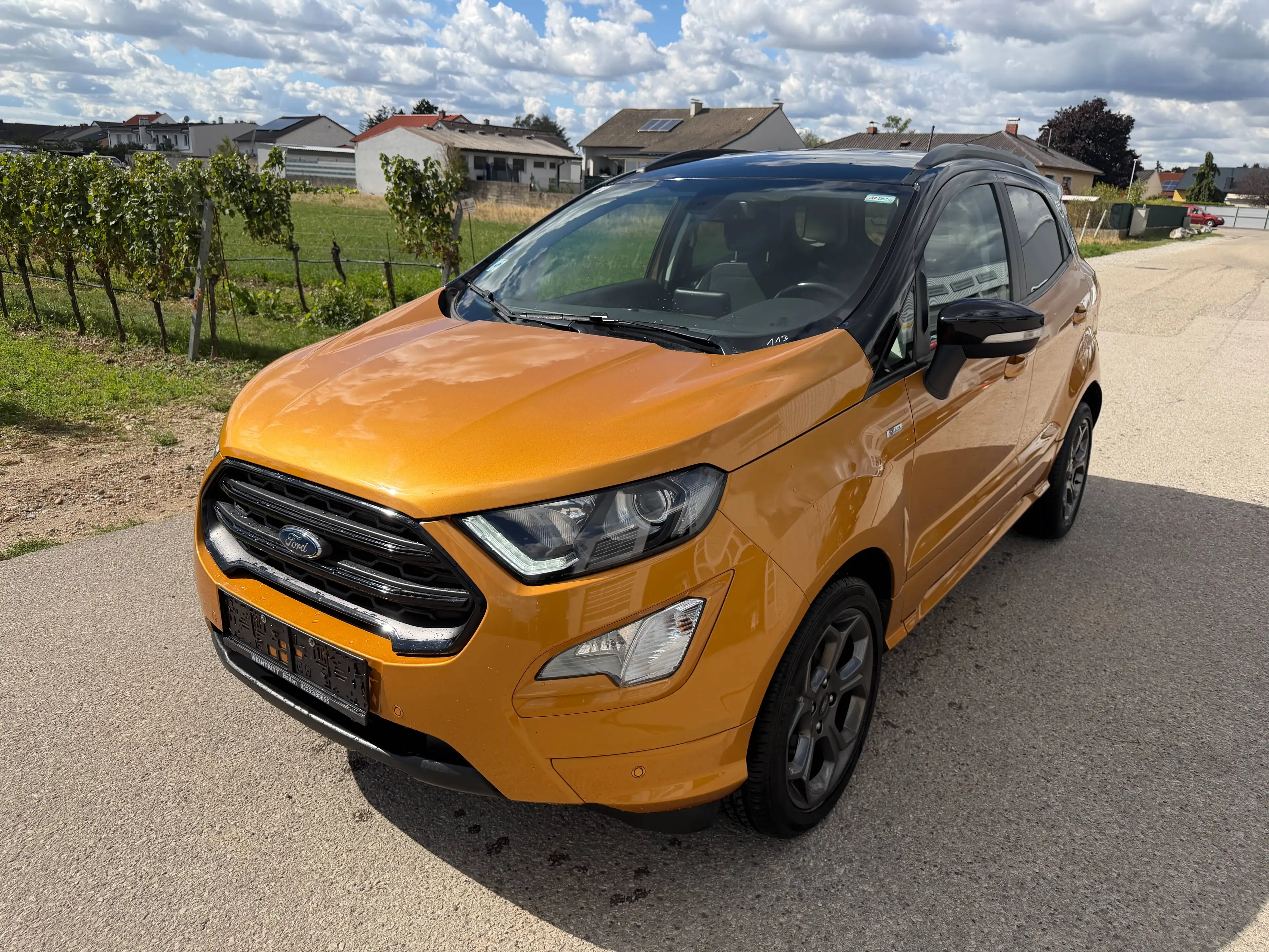 Ford EcoSport 1.0 Ecoboost ST-Line Automatik — photo 3