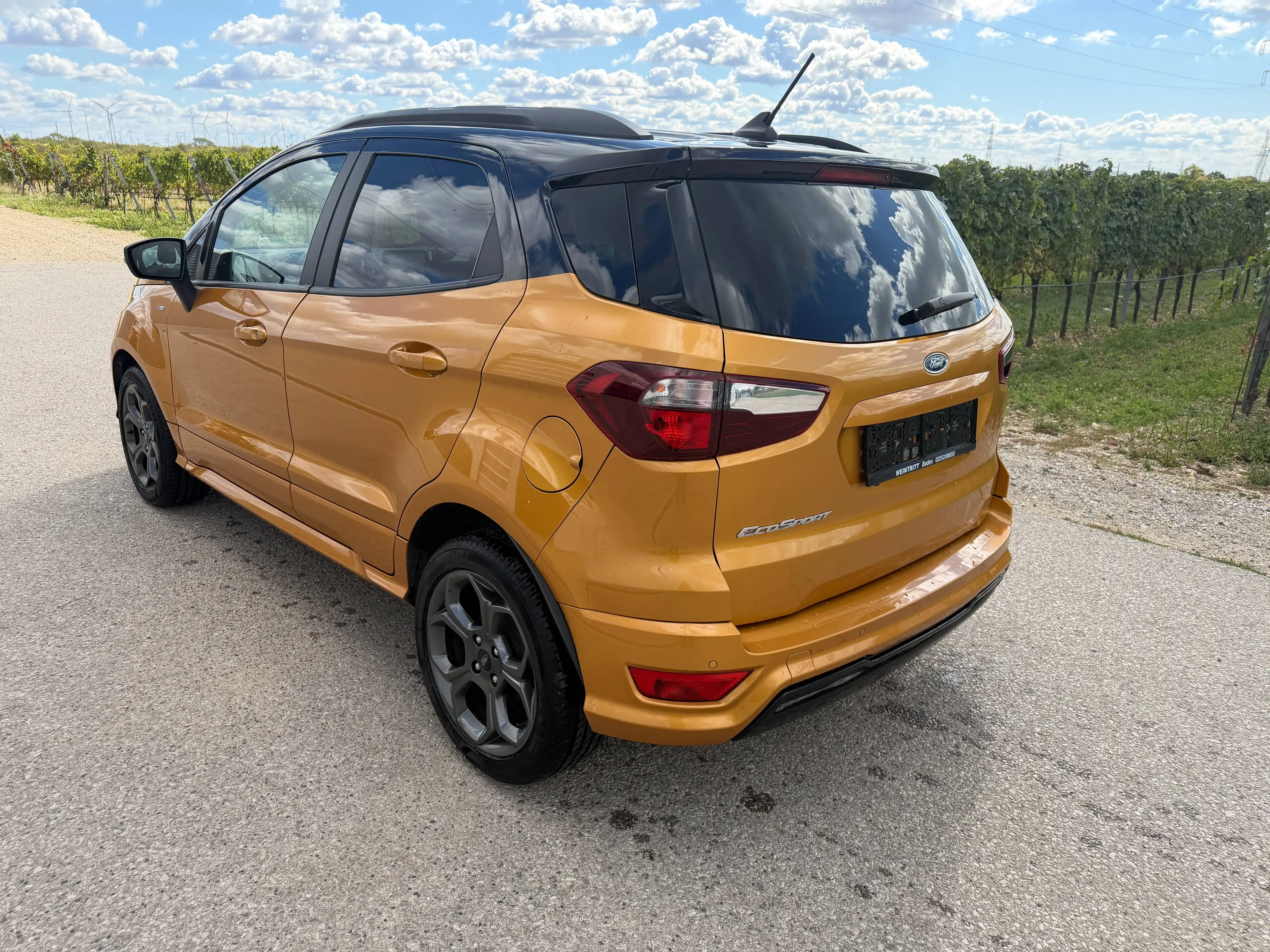 Ford EcoSport 1.0 Ecoboost ST-Line Automatik — photo 8