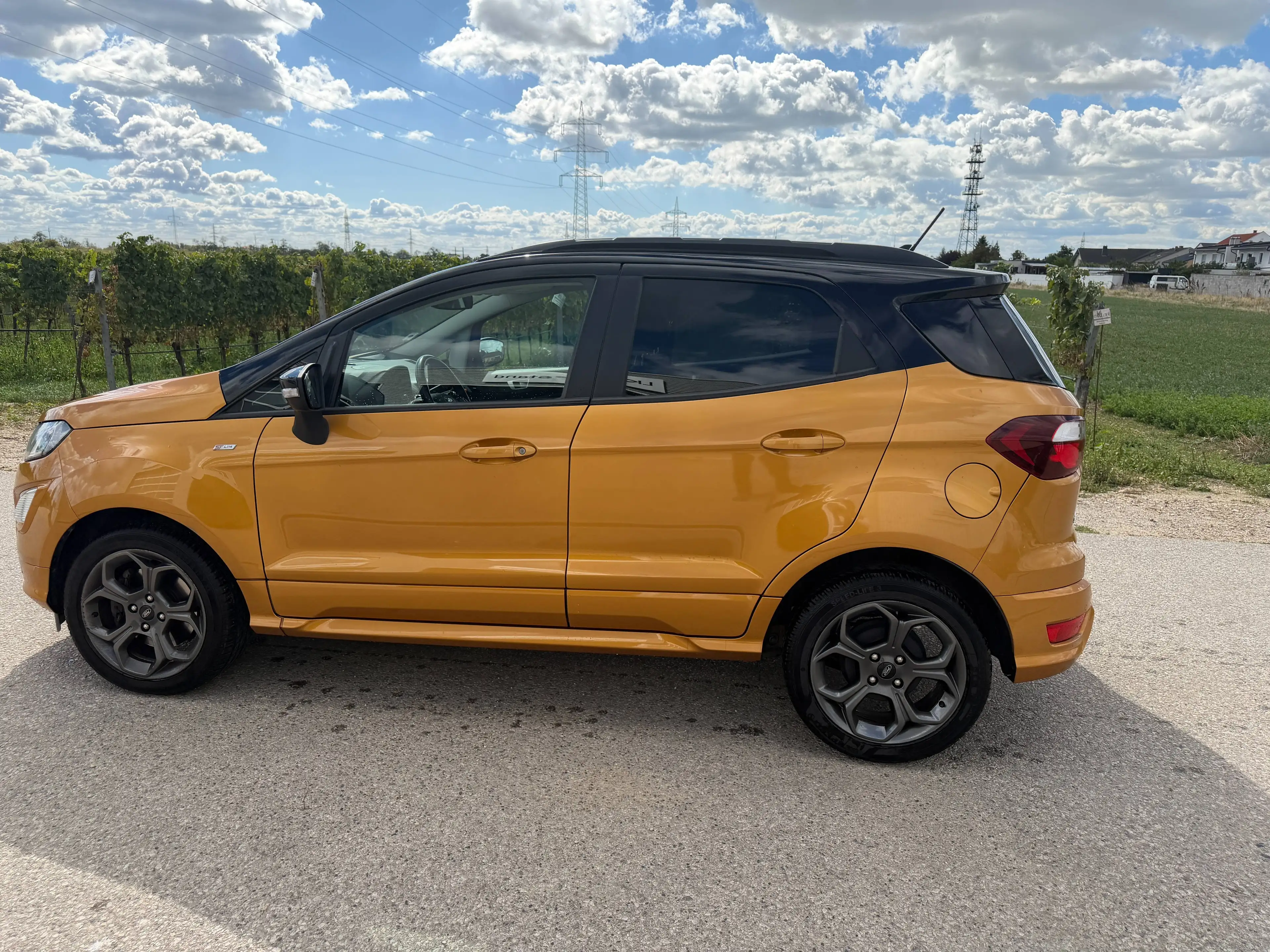 Ford EcoSport 1.0 Ecoboost ST-Line Automatik — photo 9