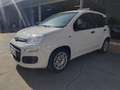 Fiat Panda Panda 1.0 firefly hybrid s Bianco - thumbnail 5
