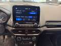 Ford EcoSport 1.0 EcoBoost 100 CV Plus - thumbnail 14