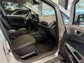 Ford EcoSport 1.0 EcoBoost 100 CV Plus - thumbnail 16