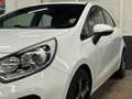 Kia Rio 1.2 CVVT Super Pack Wit - thumbnail 20
