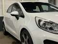 Kia Rio 1.2 CVVT Super Pack Wit - thumbnail 19