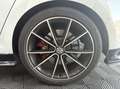 Volkswagen Golf 7 2.0 GTI TCR 290 CV Wit - thumbnail 20