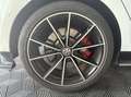 Volkswagen Golf 7 2.0 GTI TCR 290 CV Weiß - thumbnail 18