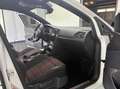Volkswagen Golf 7 2.0 GTI TCR 290 CV Weiß - thumbnail 15