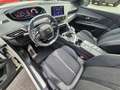 Peugeot 3008 Bianco - thumbnail 13