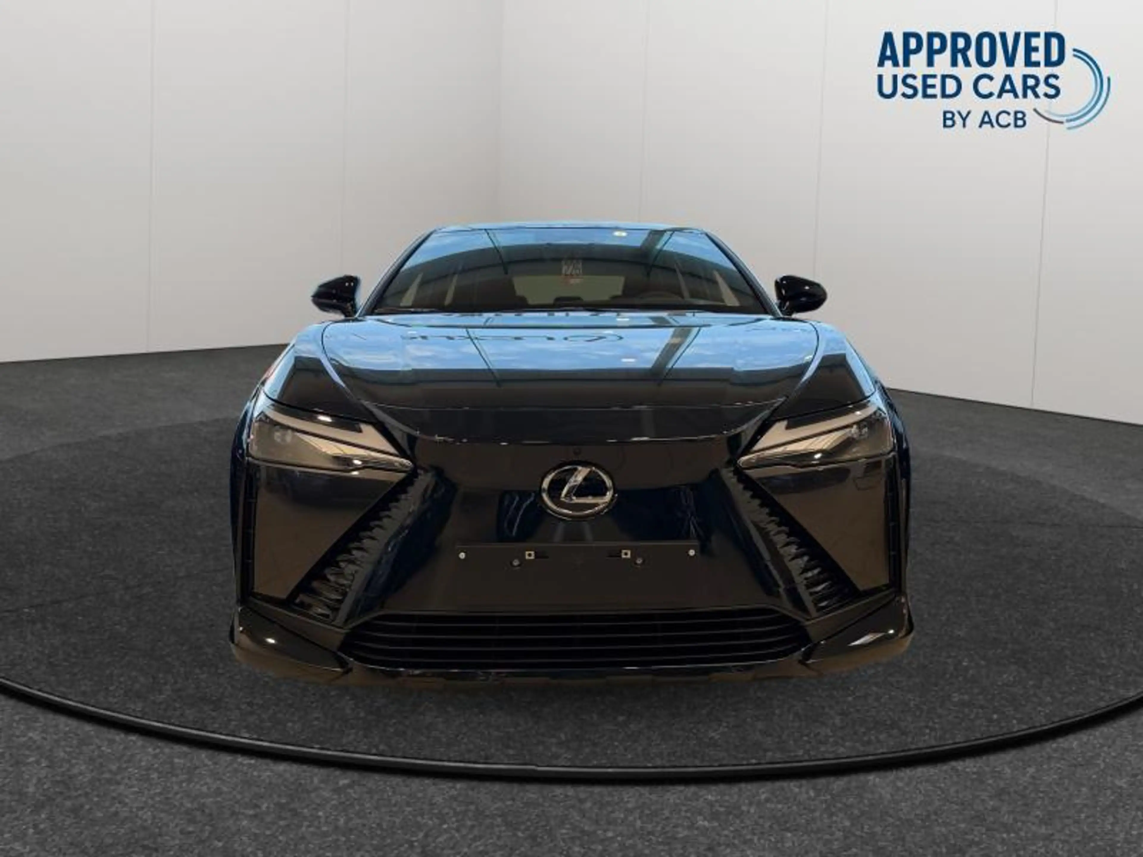 Lexus RZ PRIVILEGE LINE — photo 6