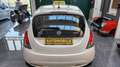 Lancia Ypsilon Ypsilon 1.0 firefly hybrid Gold s Targa GK721TD Bianco - thumbnail 6