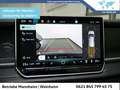 Volkswagen Tayron 2.0 TDI Life DSG GAR 2030 App-Connect AHK Grau - thumbnail 13