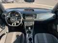 Volkswagen Beetle Lim. Sport 2.0 TDI | Xenon | 20 Zoll Чорний - thumbnail 11