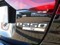 Jaguar XE 2.0 250PK Automaat Adaptive Cruise Cntrol Zwart - thumbnail 9