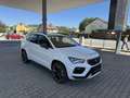 CUPRA Ateca Edition 4Drive   ***ALLRAD*** Weiß - thumbnail 7