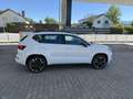 CUPRA Ateca Edition 4Drive   ***ALLRAD*** Weiß - thumbnail 6