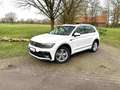 Volkswagen Tiguan Tiguan Diesel 2.0 TDI SCR 4Motion DSG Highline Weiß - thumbnail 1