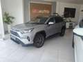 Toyota RAV 4 2.5 hybrid 4WD Advance Gris - thumbnail 10