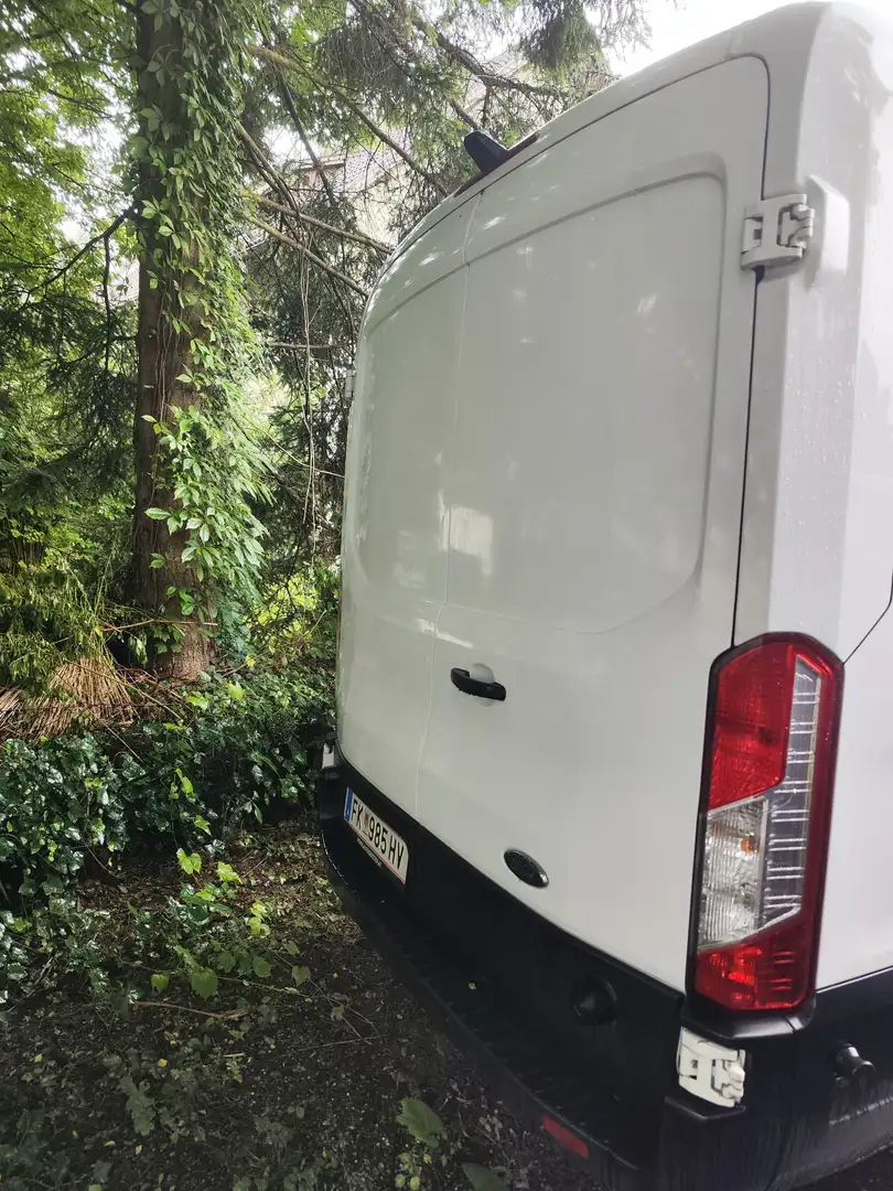Ford Transit 310 L3H2 Lkw VA Trend - 1