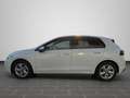 Volkswagen Golf VIII Life 1.5 l eTSI DSG NAVI HEAD-UP SHZ G Weiß - thumbnail 7