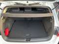 Volkswagen Golf VIII Life 1.5 l eTSI DSG NAVI HEAD-UP SHZ G Weiß - thumbnail 15