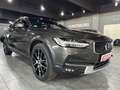 Volvo V90 Cross Country Pro AWD PANO/HUD/ACC/H K/360° Gris - thumbnail 1
