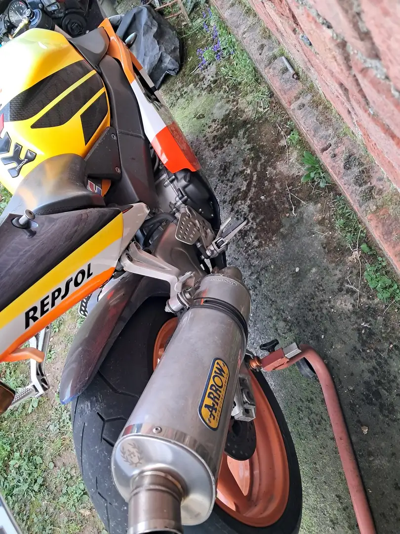 Honda CBR 900 repsol 954 fireblade rr 2002 Auriu - 2