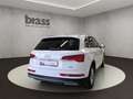 Audi Q5 SUV 45 TFSI quattro 195(265) kW(PS) S tronic Weiß - thumbnail 5