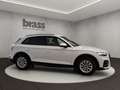 Audi Q5 SUV 45 TFSI quattro 195(265) kW(PS) S tronic Weiß - thumbnail 6