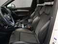 Audi Q5 SUV 45 TFSI quattro 195(265) kW(PS) S tronic Weiß - thumbnail 9