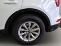 Audi Q5 SUV 45 TFSI quattro 195(265) kW(PS) S tronic Weiß - thumbnail 20