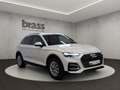 Audi Q5 SUV 45 TFSI quattro 195(265) kW(PS) S tronic Weiß - thumbnail 7