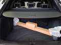 Audi Q5 SUV 45 TFSI quattro 195(265) kW(PS) S tronic Weiß - thumbnail 19