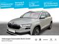 Skoda Karoq 1.5 TSI ACT Tour LED Navi PDC Connect Grau - thumbnail 1