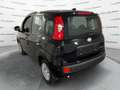 Fiat Panda Panda 1.0 FireFly S&S Hybrid Pandina *VARI COLORI Blanc - thumbnail 2