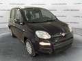 Fiat Panda Panda 1.0 FireFly S&S Hybrid Pandina *VARI COLORI Blanc - thumbnail 1
