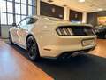 Ford Mustang Fastback 2.3 EcoBoost  EUROPEA Bianco - thumbnail 10