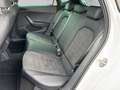 SEAT Ibiza 1.5 TSI DSG FR *LED*PANO*NAVI*KAMERA*18 Z* Blanco - thumbnail 13