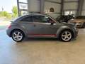 Volkswagen Beetle Club BMT Kamera PDC NAVI SHZ Grau - thumbnail 6