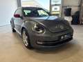 Volkswagen Beetle Club BMT Kamera PDC NAVI SHZ Grau - thumbnail 7