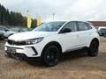 Opel Grandland X Grandland GS*145MHEV*eDCT*NaviPro*Pixel_LED Wit - thumbnail 1