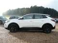Opel Grandland X Grandland GS*145MHEV*eDCT*NaviPro*Pixel_LED Wit - thumbnail 2